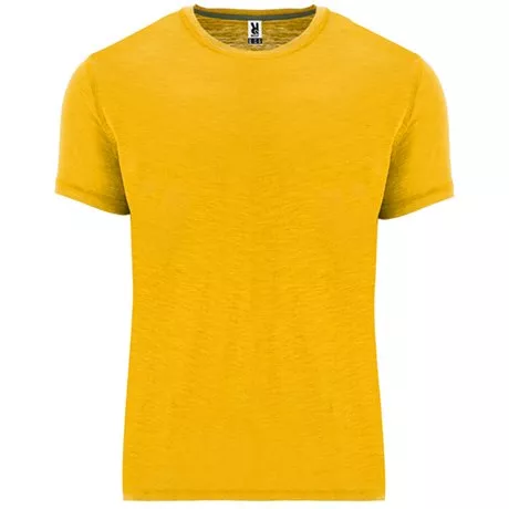 camiseta terrier roly Color 30