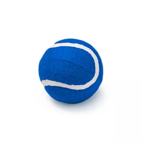 Pelota 05
