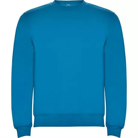 Sudadera CLASICA color 100