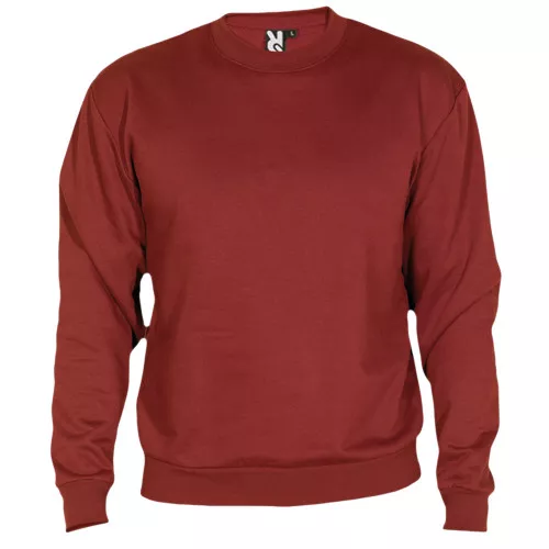 Sudadera Clásica Roly Color 57