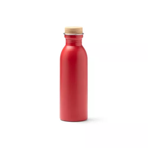 Bidón acero LEVU Color 60