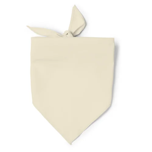 Pañuelo JARANA BEIGE 06