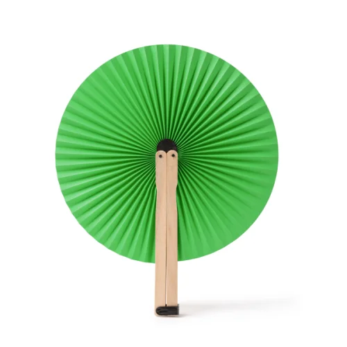 Paipai TAO VERDE HELECHO 226