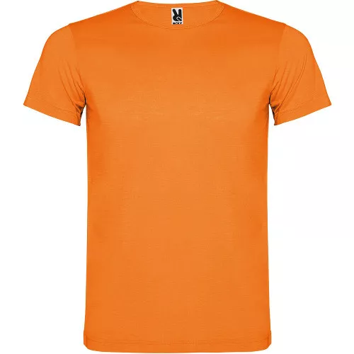 Camiseta Akita Roly Color 223
