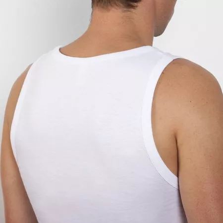 Camiseta Texas hombre Roly