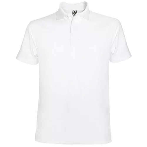 Polo Austral hombre Roly Color 01