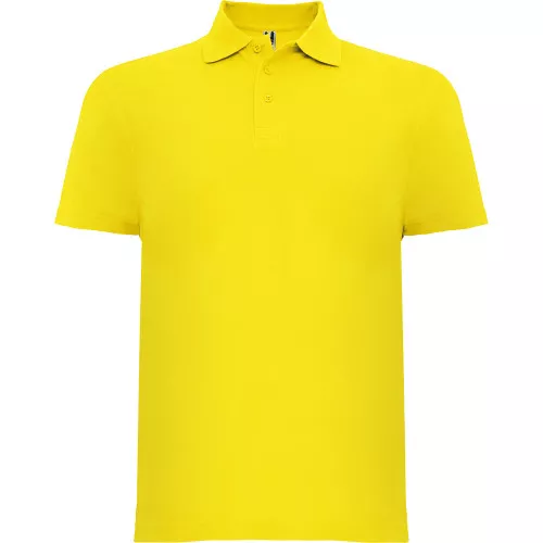 Polo Austral hombre Roly Color 03