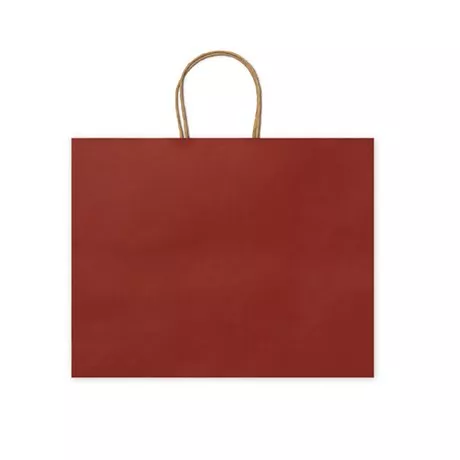 Bolsa  MAPLE color 60