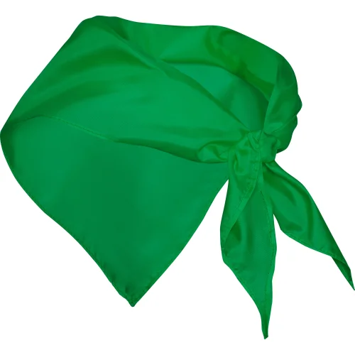 Pañuelo Festero