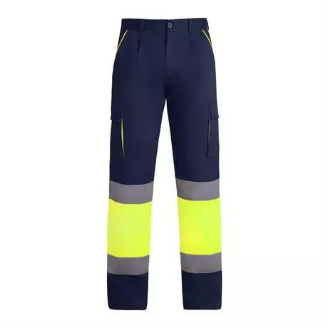 Pantalon enix color 55221