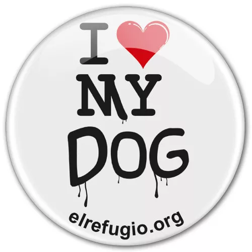 Chapas plástificadas todo color con iman