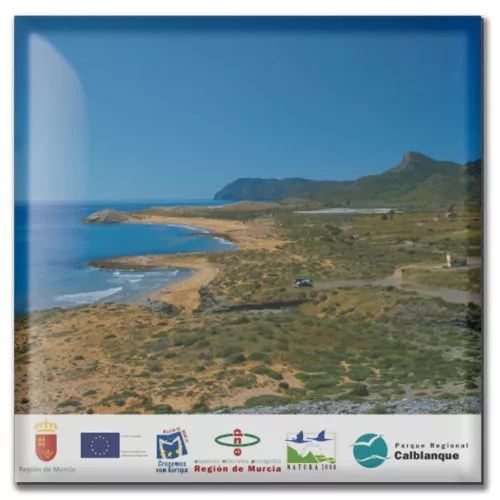 Iman flexible todo color