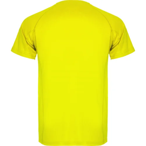 Camiseta Técnica Montecarlo Roly