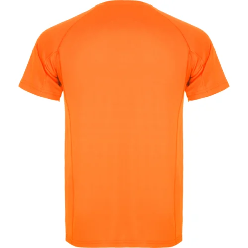 Camiseta Técnica Montecarlo Roly