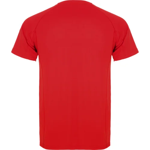 Camiseta Técnica Montecarlo Roly