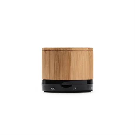 Altavoz NERVO