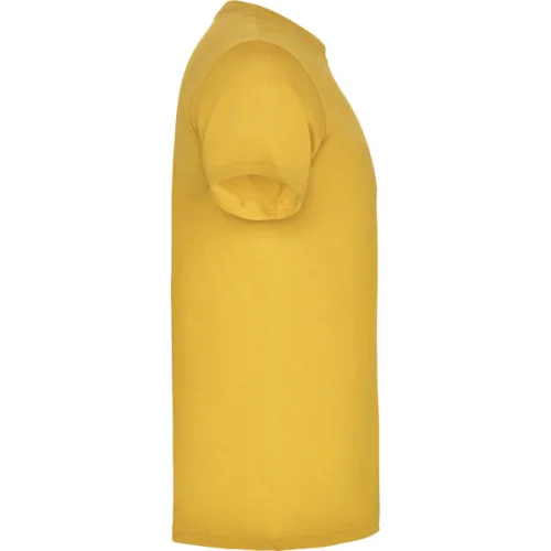 Camiseta Beagle Manga Corta