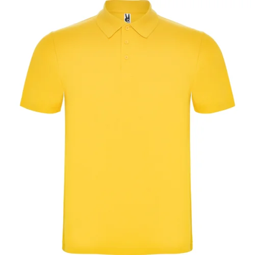 Polo Austral hombre Roly