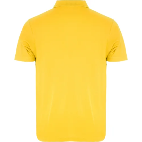 Polo Austral hombre Roly