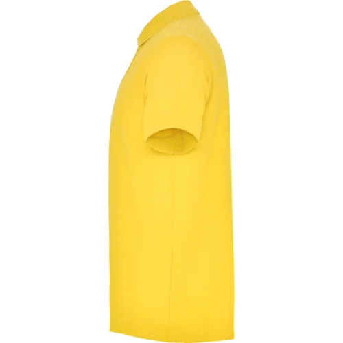 Polo Austral hombre Roly