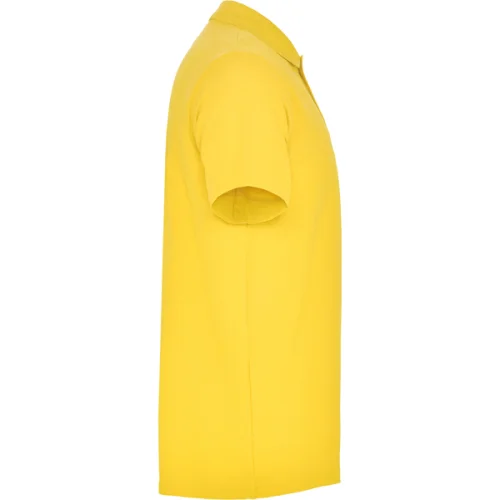 Polo Austral hombre Roly