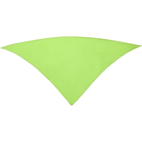 Pañuelo Festero