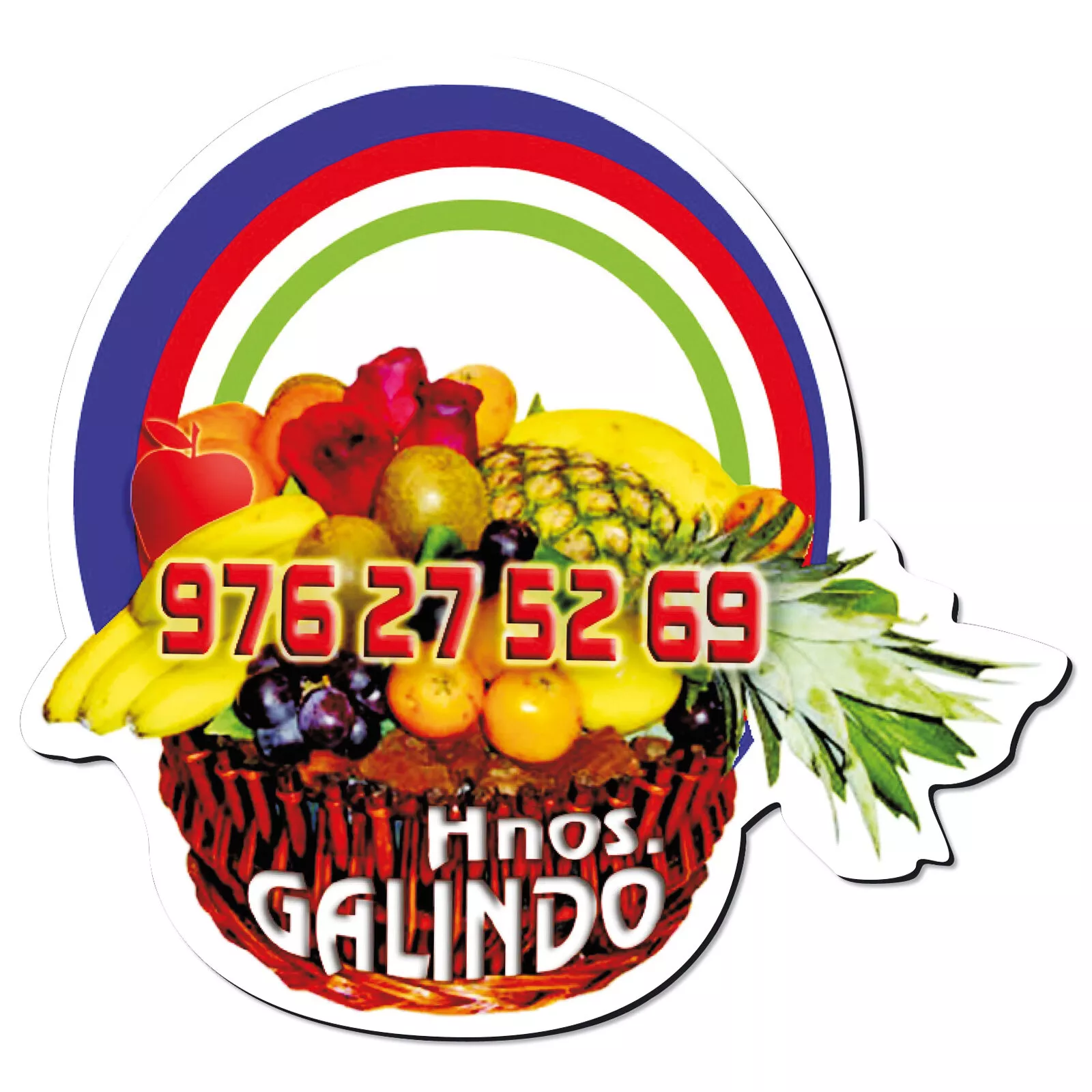 Iman flexible todo color