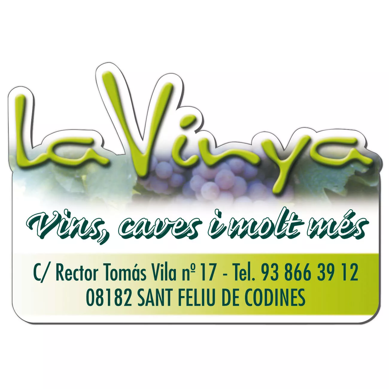 Iman flexible todo color