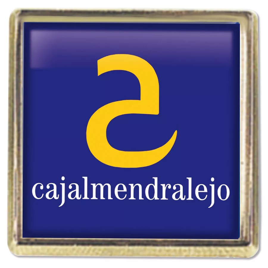 Pins niquel o latón brillante printer foto con resina 1 cara